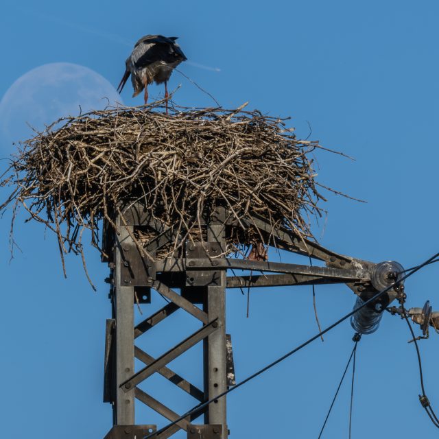DSC_6841-Migliorato-NR
