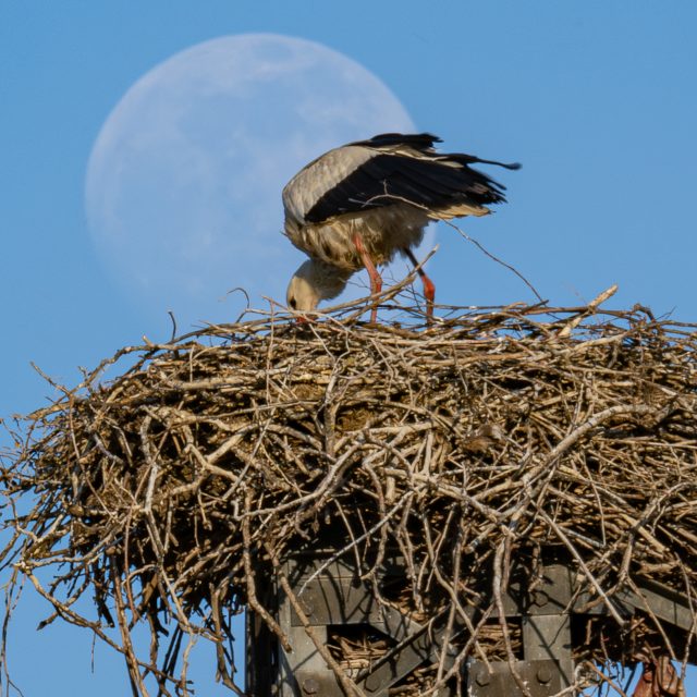 DSC_6854-Migliorato-NR